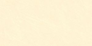 Gạch lát nền Đồng Tâm 3060GECKO007