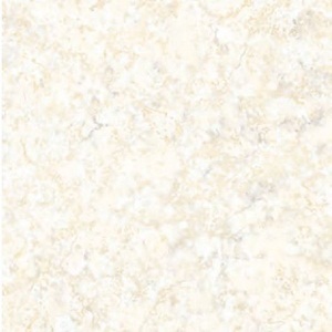 Gạch lát nền Đồng Tâm 4040CK004