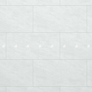 Gạch lát nền Đồng Tâm 4080GECKO003