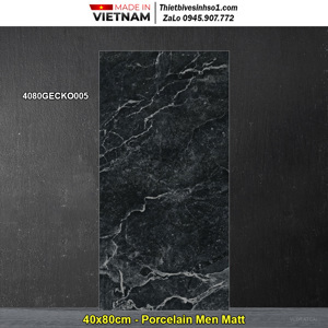 Gạch lát nền Đồng Tâm 4080GECKO005