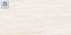 Gạch lát nền Đồng Tâm 4080TAYBAC002