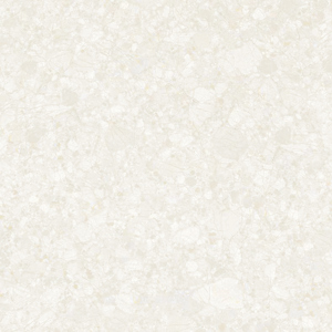 Gạch lát nền Đồng Tâm DTD6060TRUONGSON004-FP - 60x60