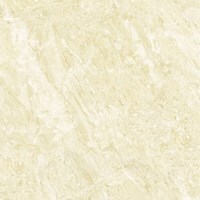 Gạch lát nền Đồng Tâm DTD6060TRUONGSON007-FP - 60x60