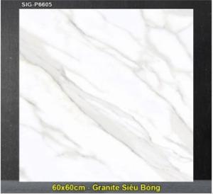 Gạch lát nền Eurotile 60×60 SIG-P6605