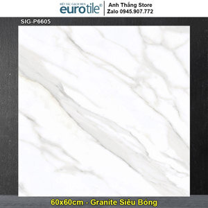 Gạch lát nền Eurotile 60×60 SIG-P6605