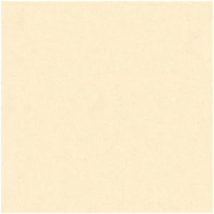 Gạch lát nền Feliz FM605 kích thước 600x600