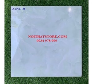 Gạch lát nền Fico 60x60 Z6061