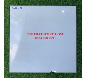 Gạch lát nền Fico 60x60 Z6063