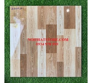 Gạch lát nền Fico 60x60 Z6064