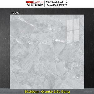 Gạch lát nền granite giả đá Viglacera TB 809