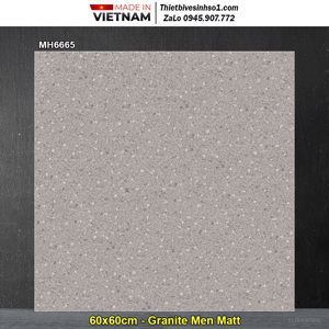 Gạch lát nền Granite MH6665