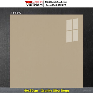 Gạch lát nền granite Viglacera 60x60 TS6-602