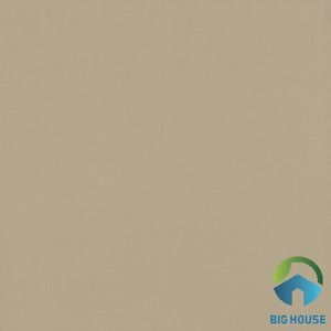 Gạch lát nền granite Viglacera 60x60 TS6-602