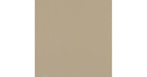 Gạch lát nền granite Viglacera 60x60 TS6-602