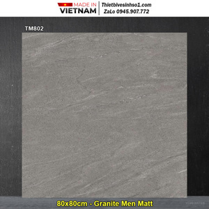 Gạch lát nền granite Viglacera TM 802