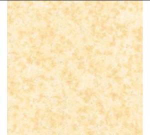 Gạch lát nền Hoàn Mỹ 80X80 33003