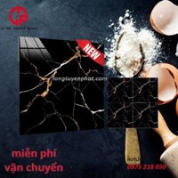 gạch lát nền màu đen 60×60 fico FPP6102