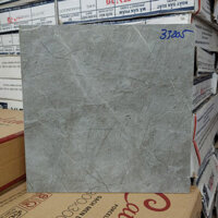 Gạch lát nền nhà vệ sinh màu ghi TTC 33205 (30×30 cm)