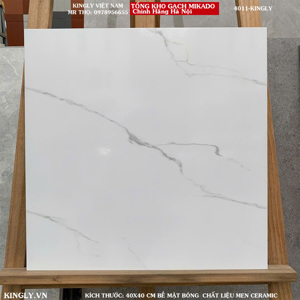 Gạch lát nền PAK 4011 - 40x40