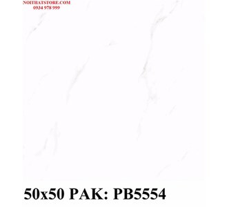 Gạch lát nền PAK-PB5554