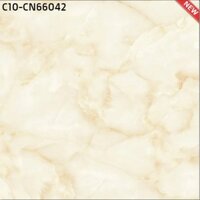 Gạch lát nền porcelain bóng 60x60 : CT10 - CN66042