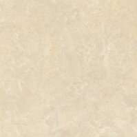 Gạch lát nền Porcelain Nano TTC PN88005