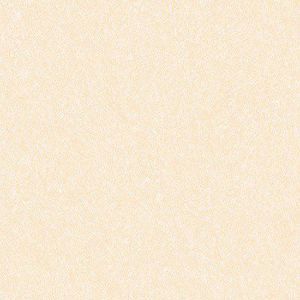 Gạch lát nền Prime 60x60 17003