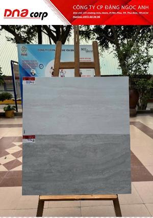 Gạch lát nền Prime 8204 - 60x60