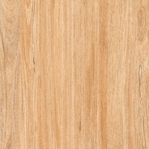 Gạch lát nền Prime 8206 - 60x60
