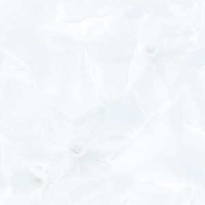 Gạch lát nền Prime 9048 - 60x60