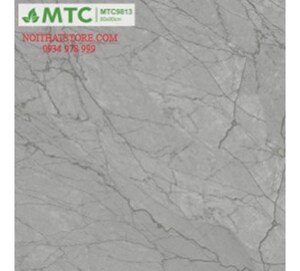 Gạch lát nền Sunrise 80×80 MTC9813