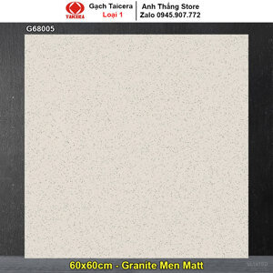 Gạch lát nền Taicera 60×60 G68005