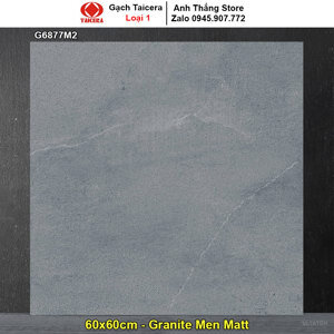 Gạch lát nền Taicera 60×60 G6877M2