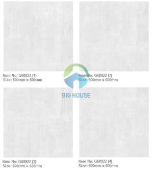 Gạch lát nền Taicera 60×60 G68922