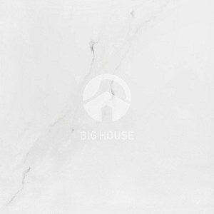 Gạch lát nền Taicera 60×60 P67592N