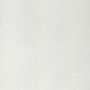 Gạch lát nền Taicera P10702N - 100x100
