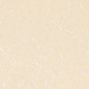 Gạch lát nền Taicera P10703N - 100x100