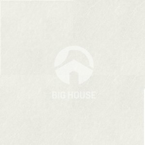 Gạch lát nền Taicera P67413N - 60x60