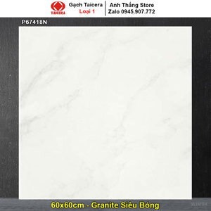 Gạch lát nền Taicera P67418N - 60x60
