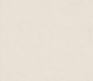 Gạch lát nền Taicera – P67542N (60x60)