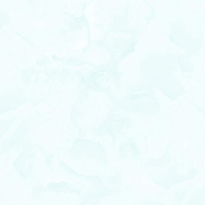 Gạch lát nền Tasa 60×60 6504