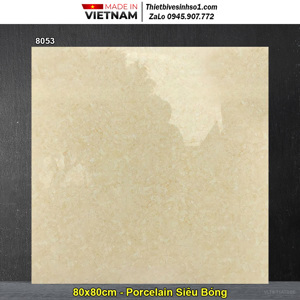 Gạch lát nền Tasa 80x80 8053