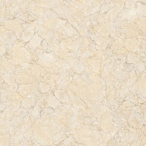 Gạch lát nền Tasa 8104 - 80x80