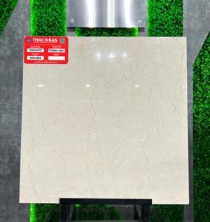 Gạch lát nền Thạch Bàn TGB60-853
