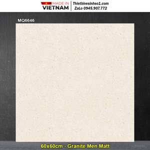 Gạch lát nền  Trung Đô 600x600mm MQ6646