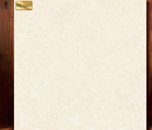 Gạch lát nền Trung Đô 60×60 MQ 6643