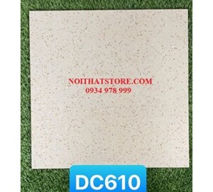 Gạch lát nền Trung Quốc 60x60 DC610