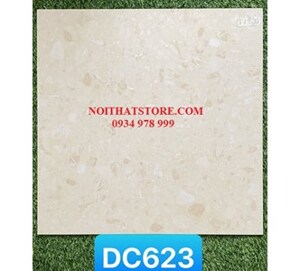 Gạch lát nền Trung Quốc 60x60 DC623