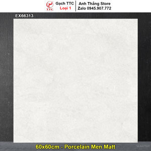 Gạch lát nền TTC EX66313 - 60x60