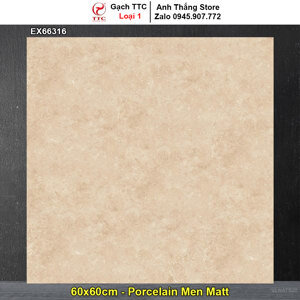 Gạch lát nền TTC EX66316 - 60x60